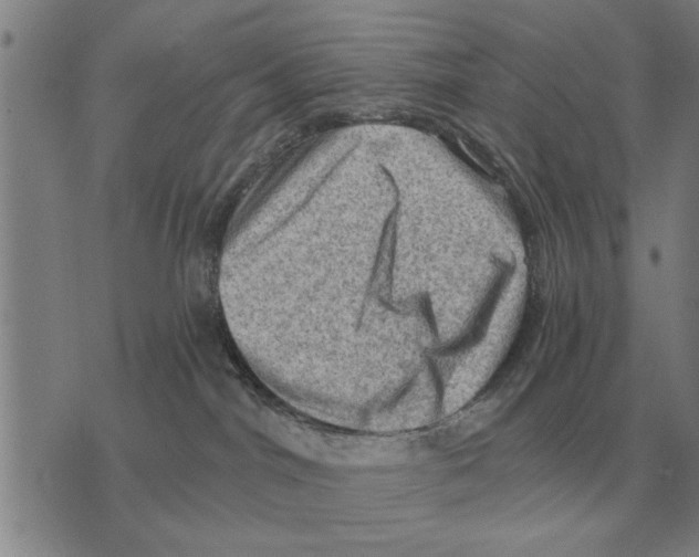 X0000075870044200610151711