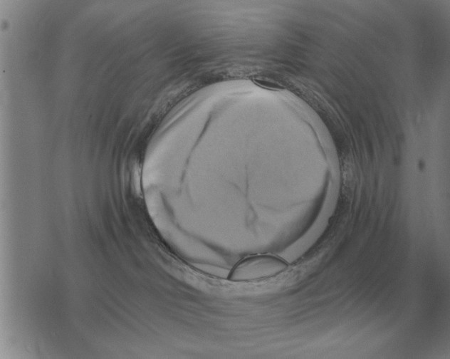 X0000075870046200610151711