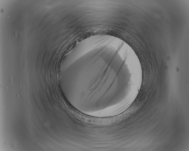 X0000075870048200610151711