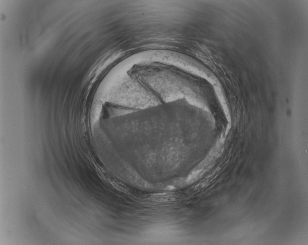 X0000075870050200610151710