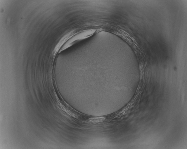 X0000075870051200610151710