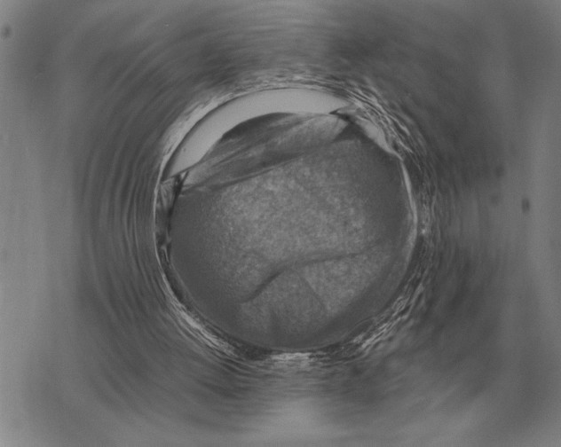 X0000075870052200610151710