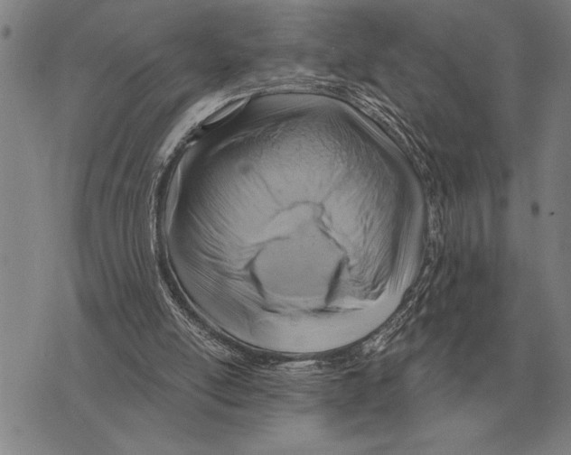 X0000075870054200610151710