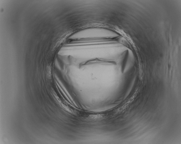 X0000075870057200610151711