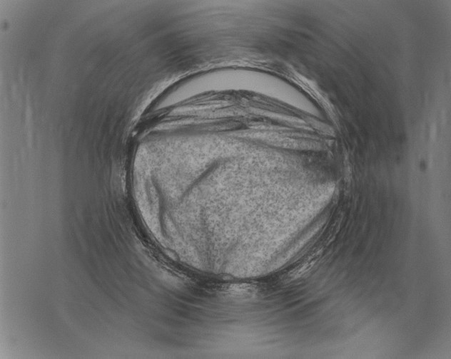 X0000075870060200610151711