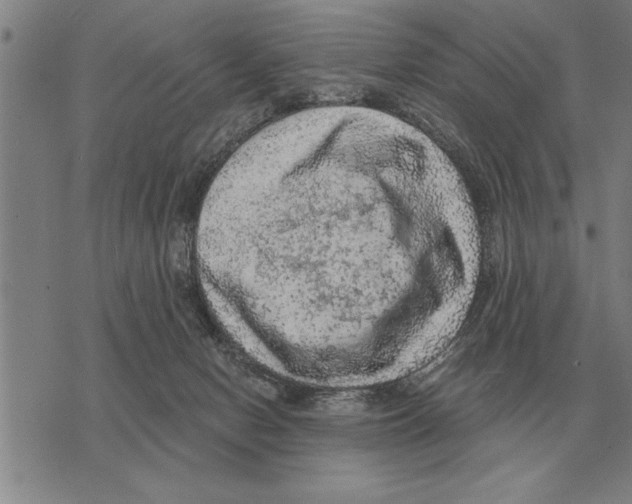 X0000075870078200610151711