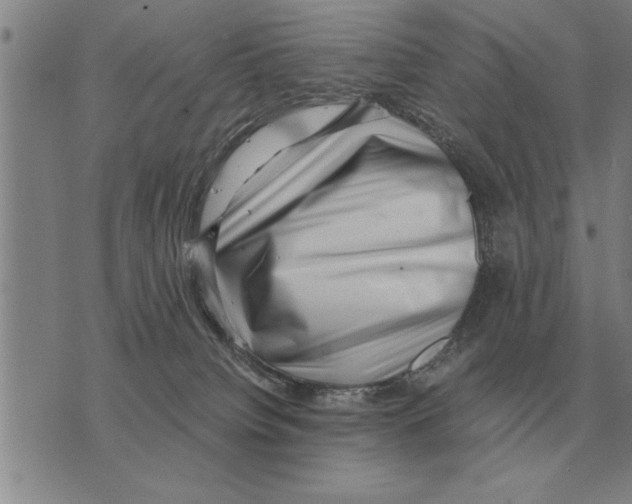 X0000075870084200610151711