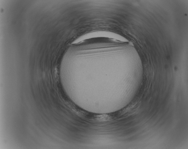 X0000075870087200610151711