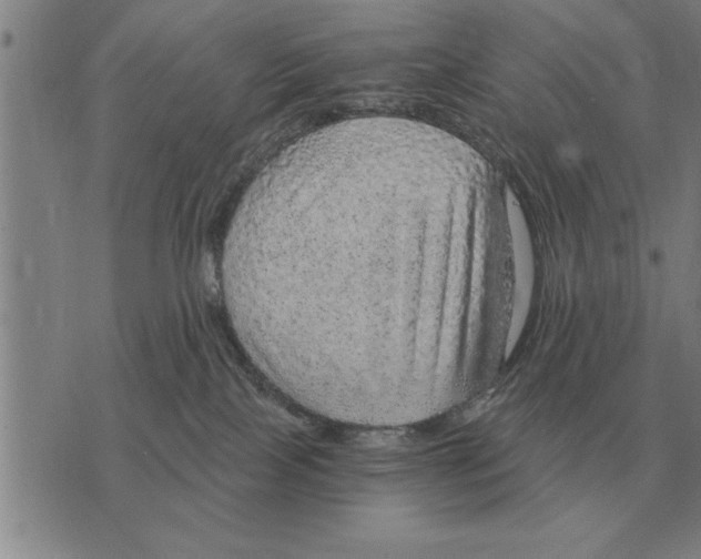 X0000075870089200610151711