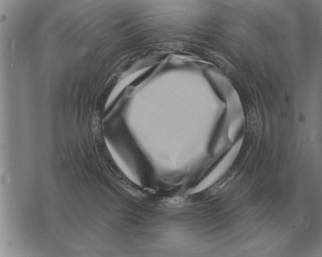 X0000075870092200610151711