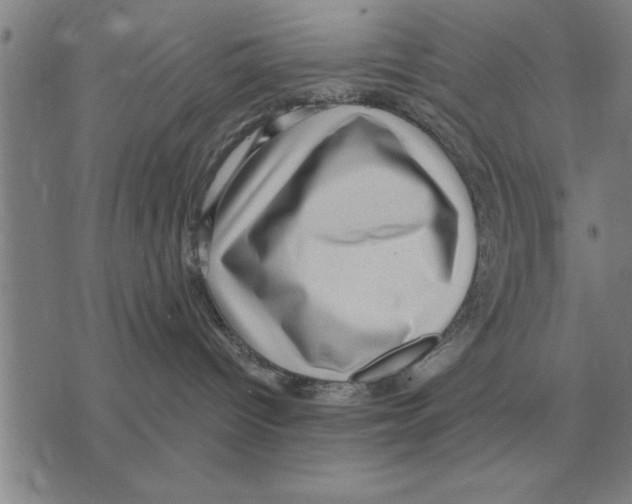 X0000075870096200610151711