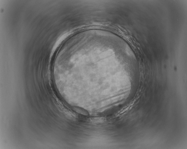 X0000075870102200610151710