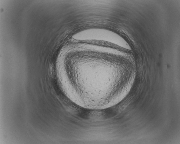 X0000075870123200610151710