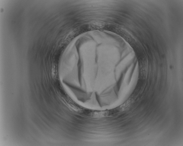 X0000075870134200610151710