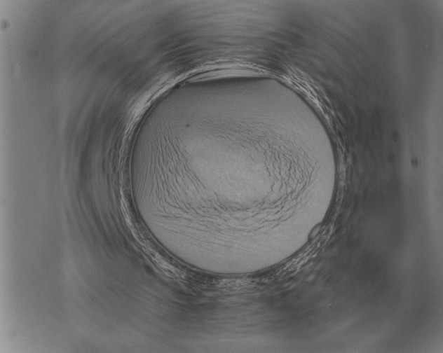 X0000075870145200610151709