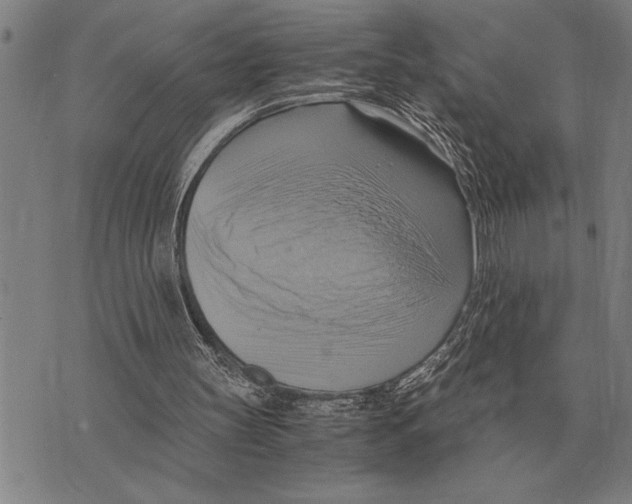 X0000075870147200610151709