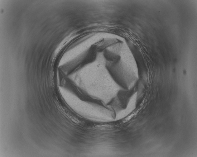 X0000075870150200610151709