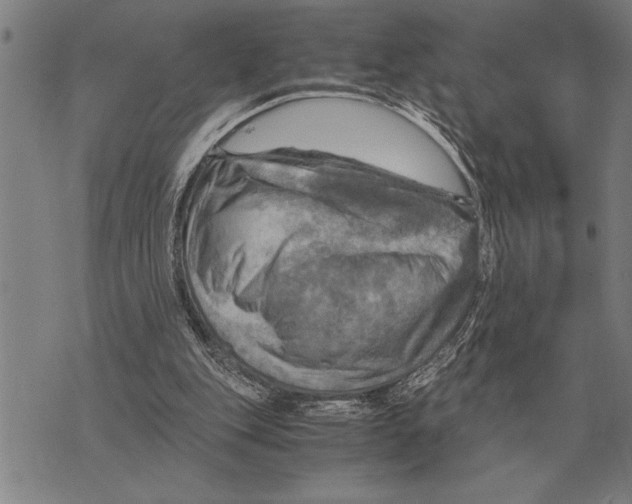 X0000075870151200610151709