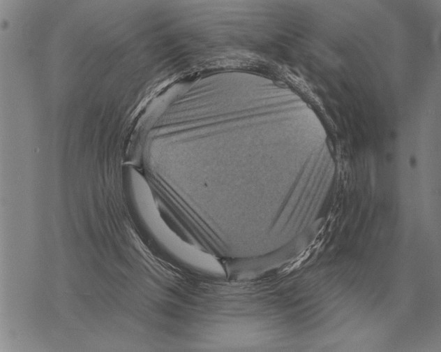 X0000075870154200610151709