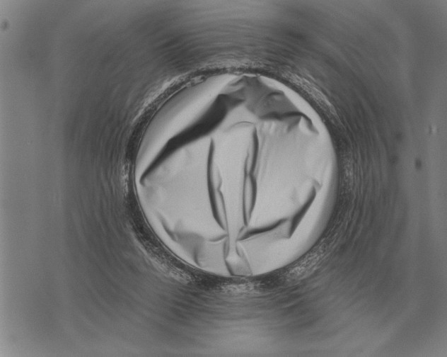 X0000075870160200610151709