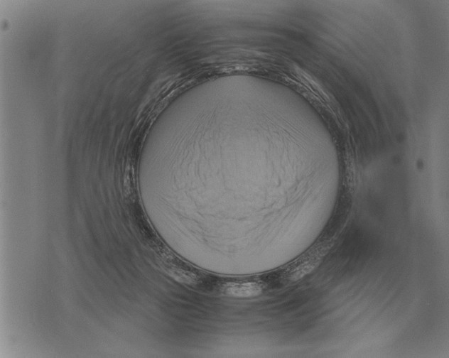 X0000075870169200610151709