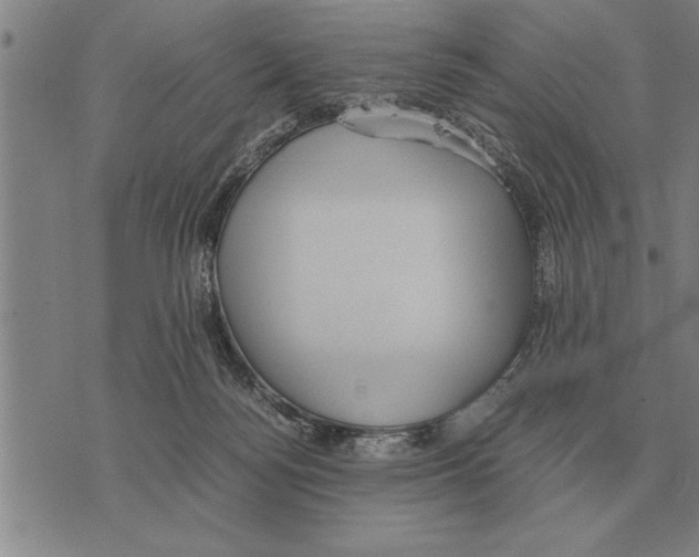 X0000075870172200610151709