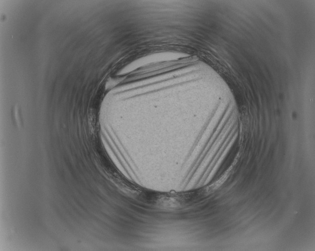 X0000075870174200610151709