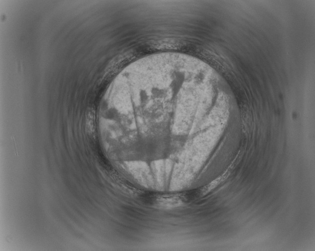 X0000075870175200610151709