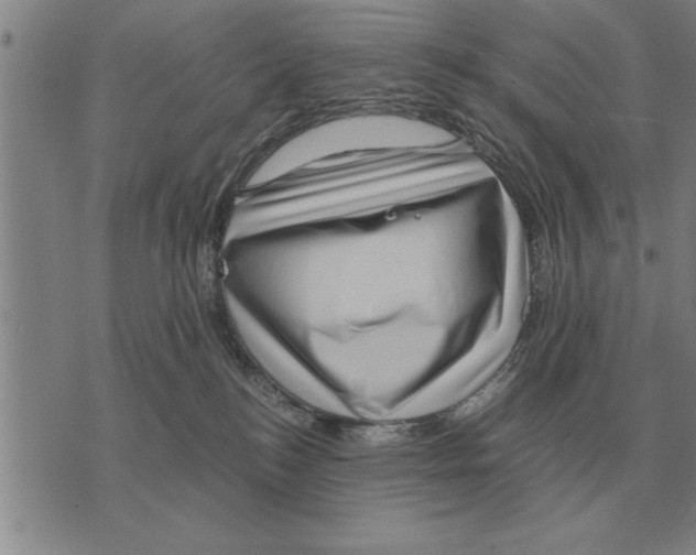 X0000075870184200610151709