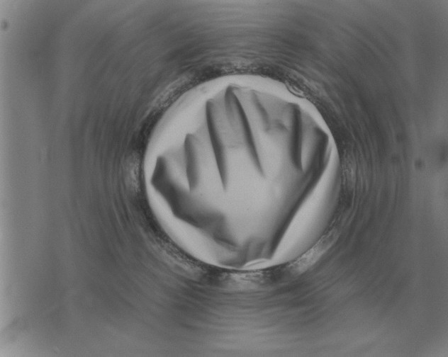 X0000075870188200610151710