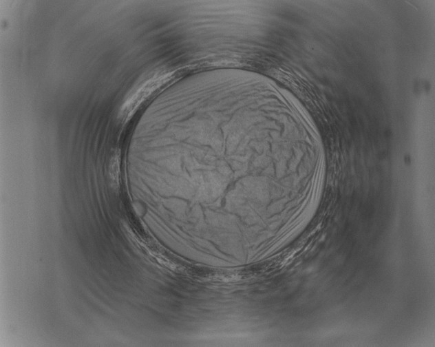 X0000075870194200610151709