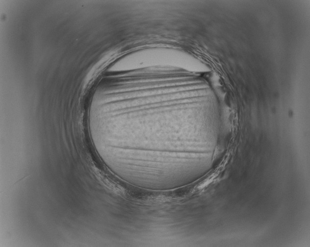 X0000075870197200610151709