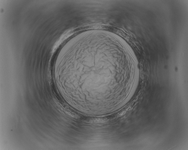 X0000075870198200610151709