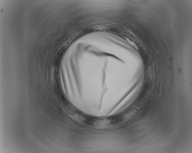 X0000075870217200610151708