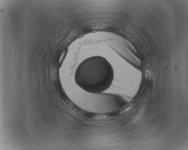 X0000075870227200610151708