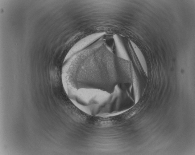 X0000075870228200610151708