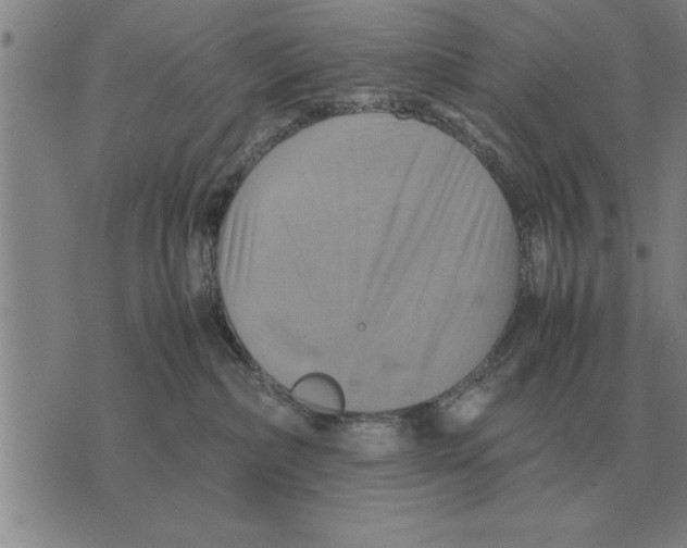 X0000075870236200610151708
