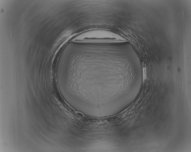 X0000075870243200610151707