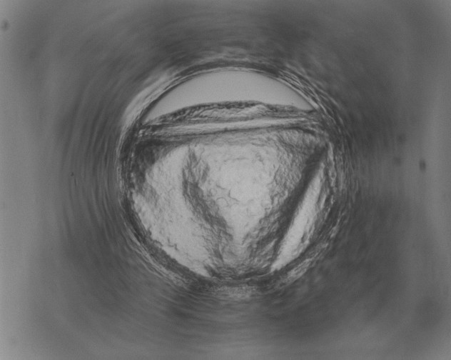 X0000075870245200610151707