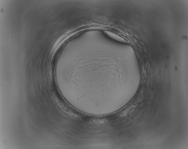 X0000075870247200610151707