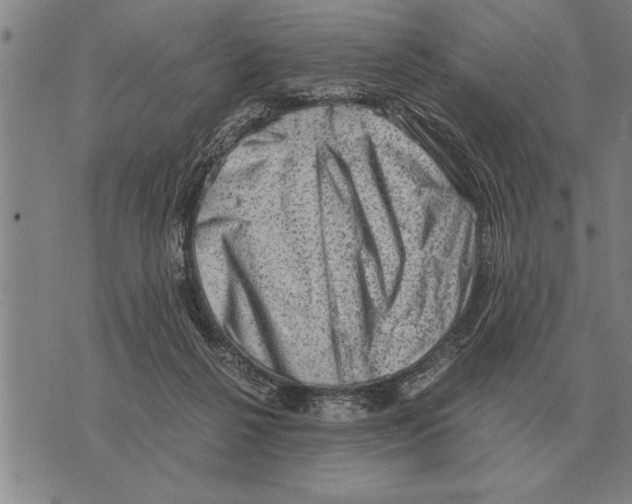 X0000075870264200610151708
