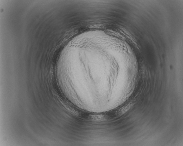 X0000075870265200610151708