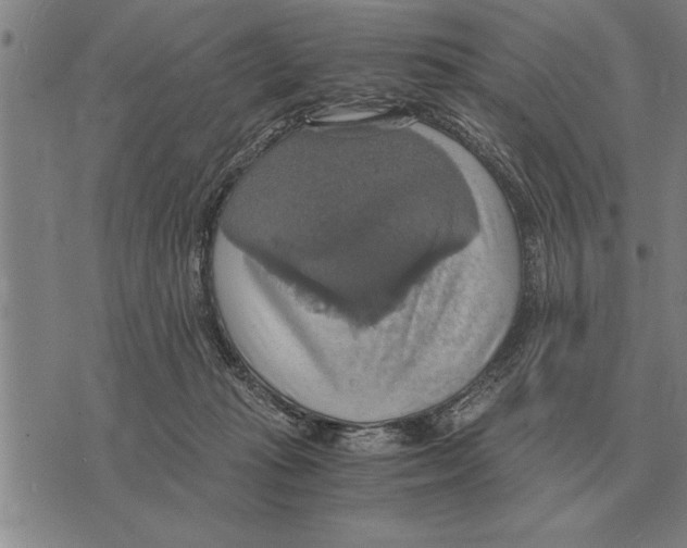 X0000075870269200610151708