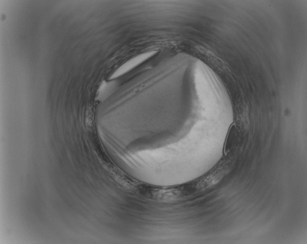 X0000075870277200610151708