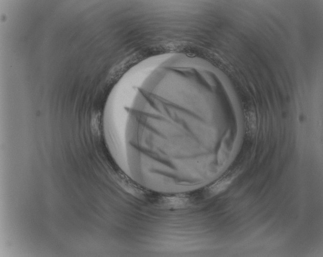 X0000075870286200610151708