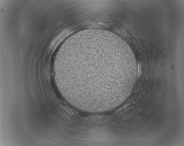 X0000075870291200610151707
