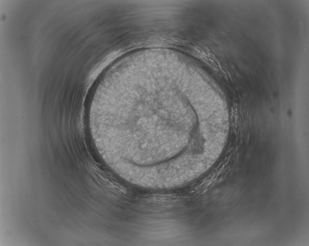 X0000075870292200610151707