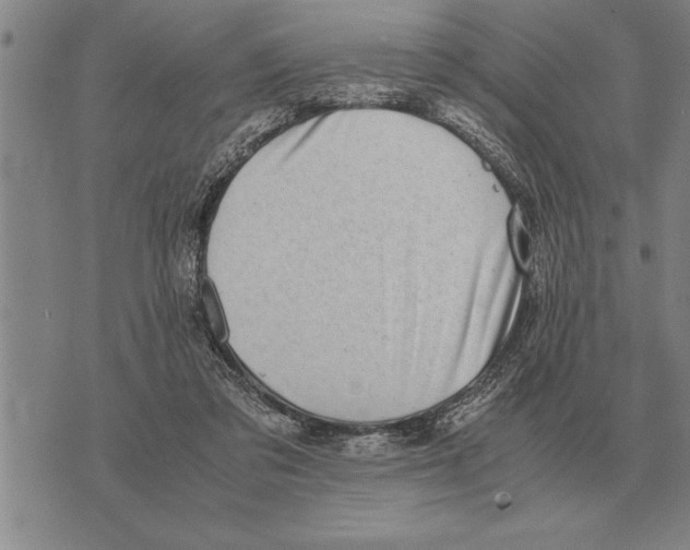 X0000075870309200610151707