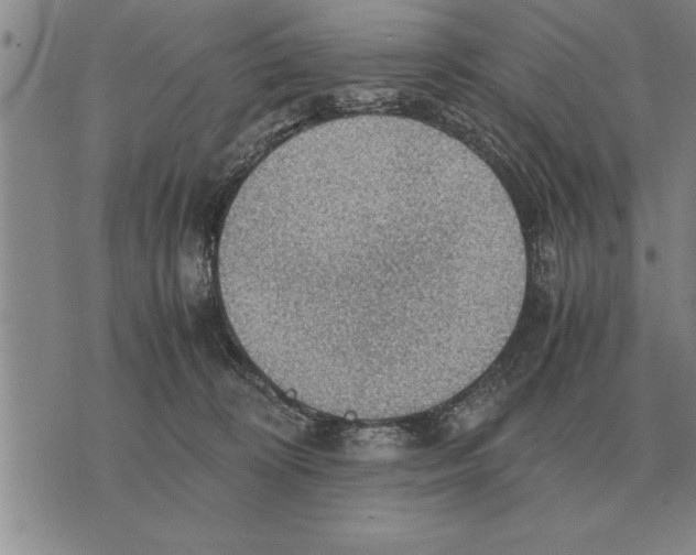 X0000075870324200610151707