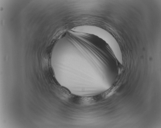X0000075870333200610151707